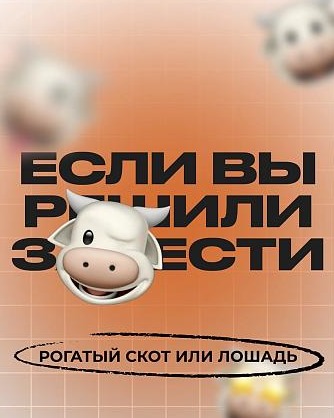 Если вы решили стать владельцем крупного рогатого скота или лошади